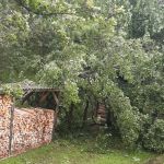 einsatz 25.07.2023 einsatz 25.07.2023
